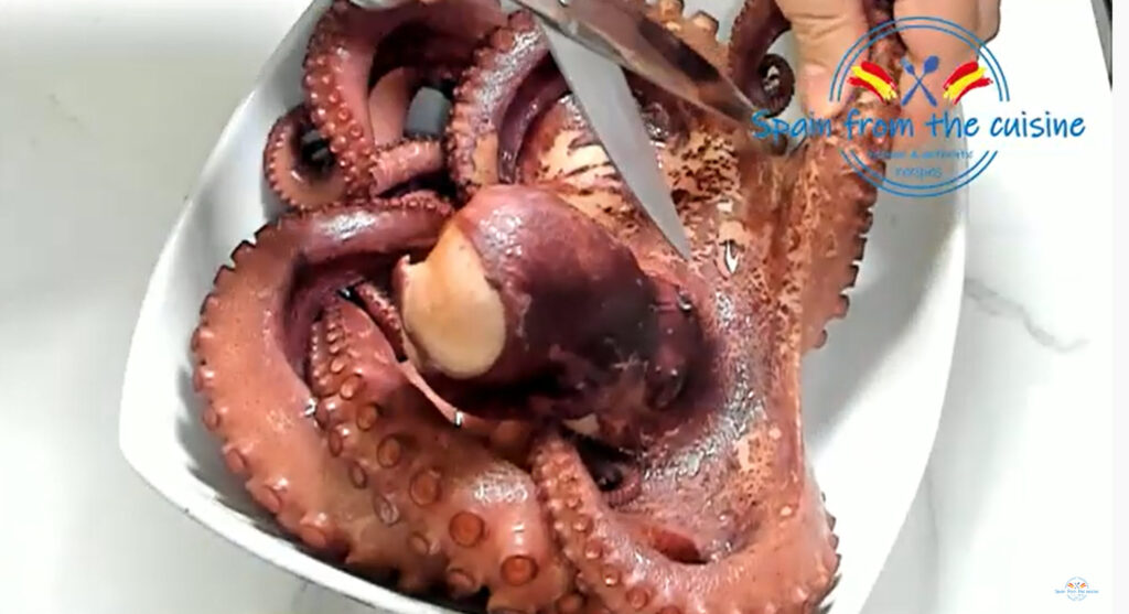 Cut Galician Style Octopus