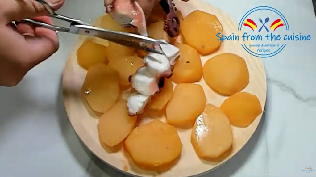 Cut Galician Style Octopus